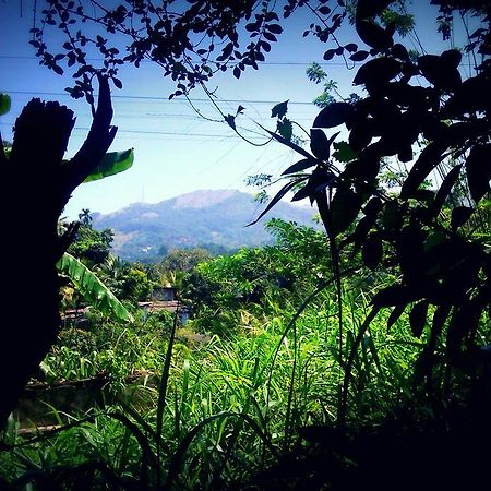 Haniffas Holiday Inn Kandy Bagian luar foto